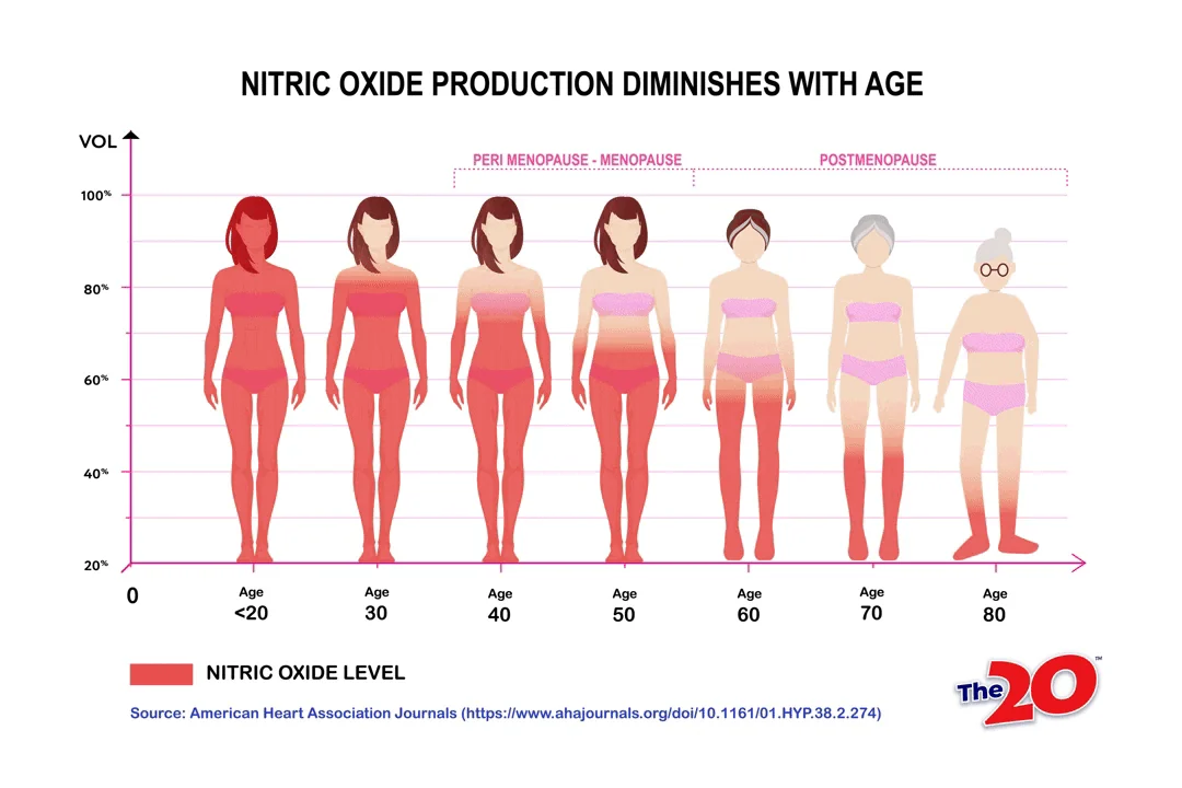 Chart showing nitric oxide production declining with age in women through menopause